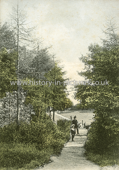 Lovers Walk, Happy Valley, Little Heath, Essex. c.1907